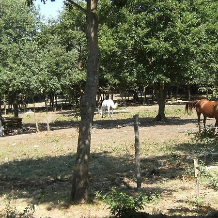 Difenza Cappella Villa San Giuliano del Sannio Eksteriør bilde